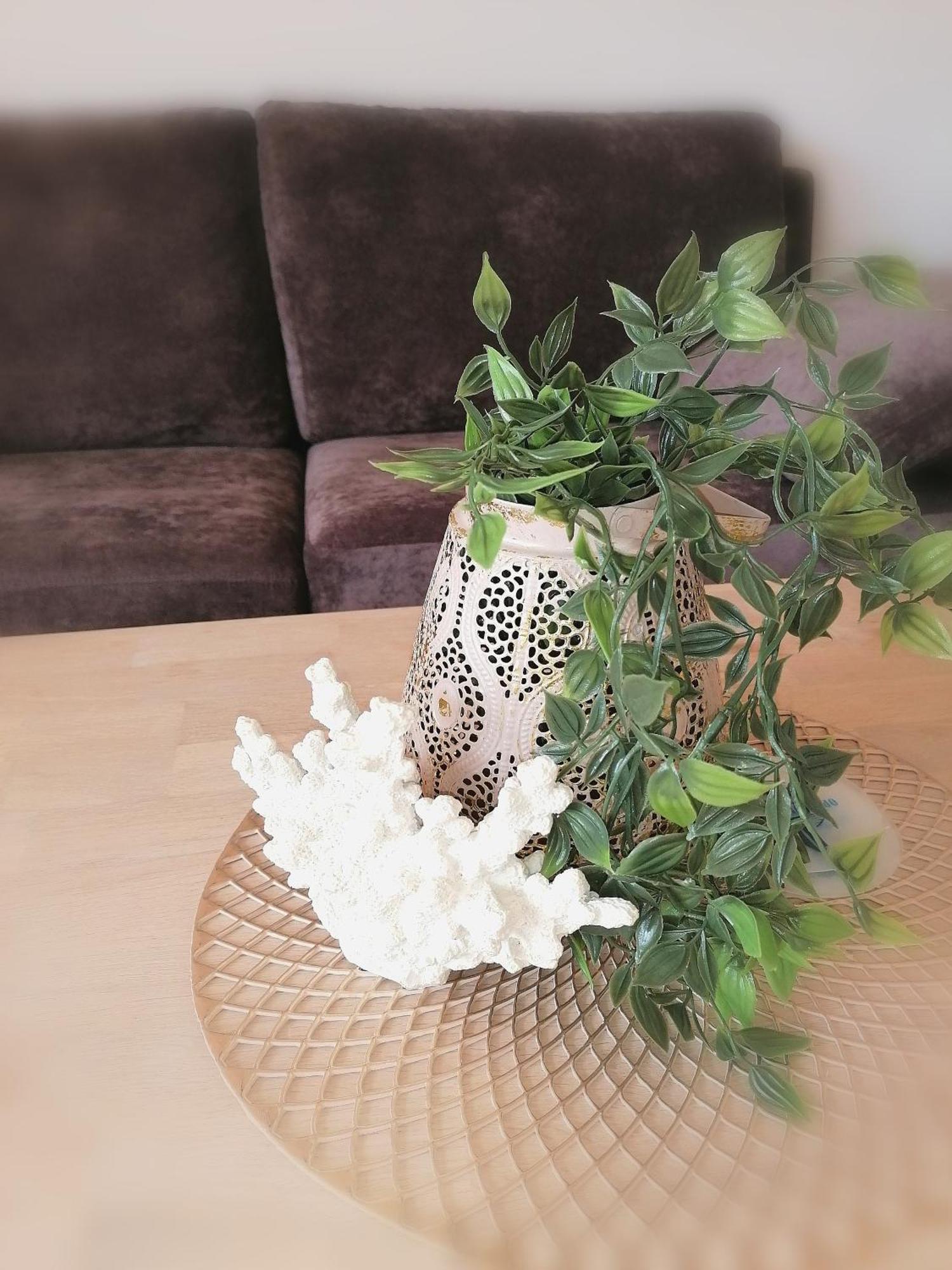 Ferienwohnung Joanna ノルトダイヒ 部屋 写真